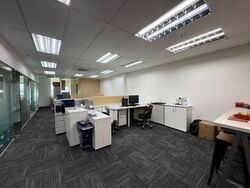 Vertex (D14), Factory #504186331